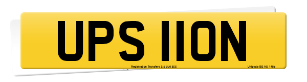 Registration number UPS 110N